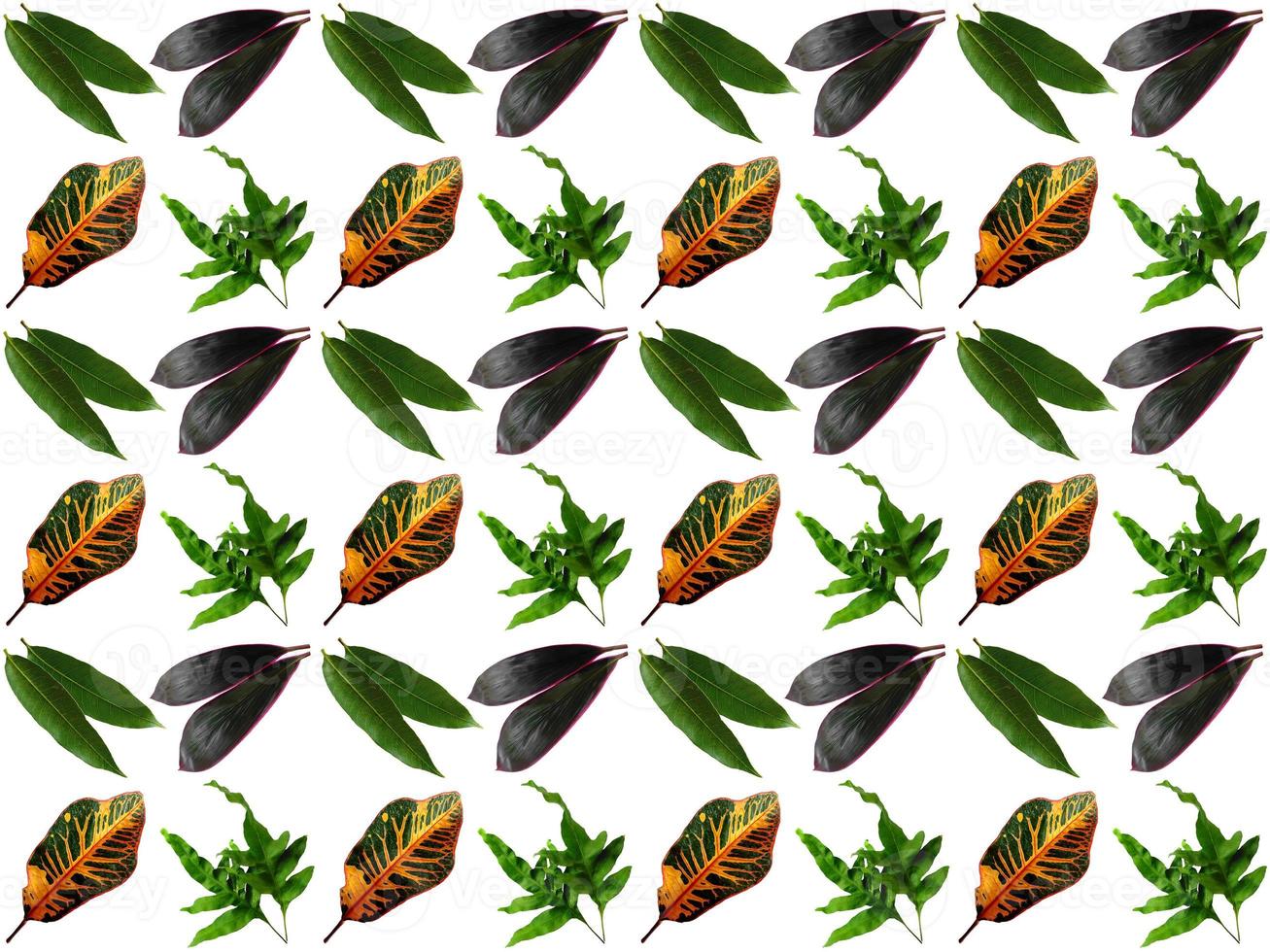 Leaves pattern background photo