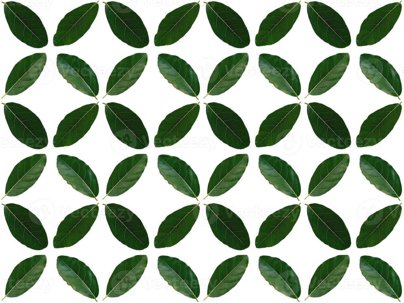 Leaf pattern background photo