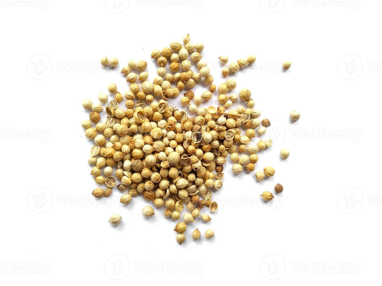 Coriander seeds on white background photo