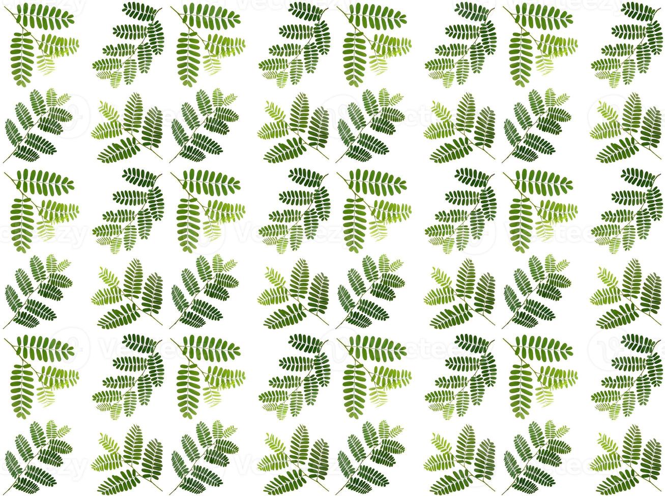 Leaf pattern background photo