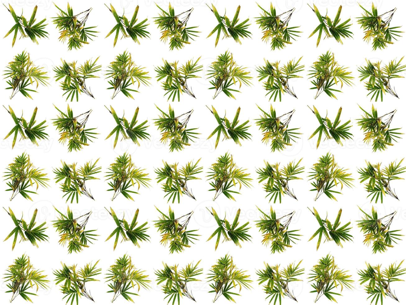 Leaf pattern background photo
