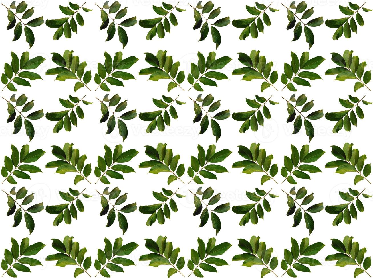 Pattern Leaf background photo