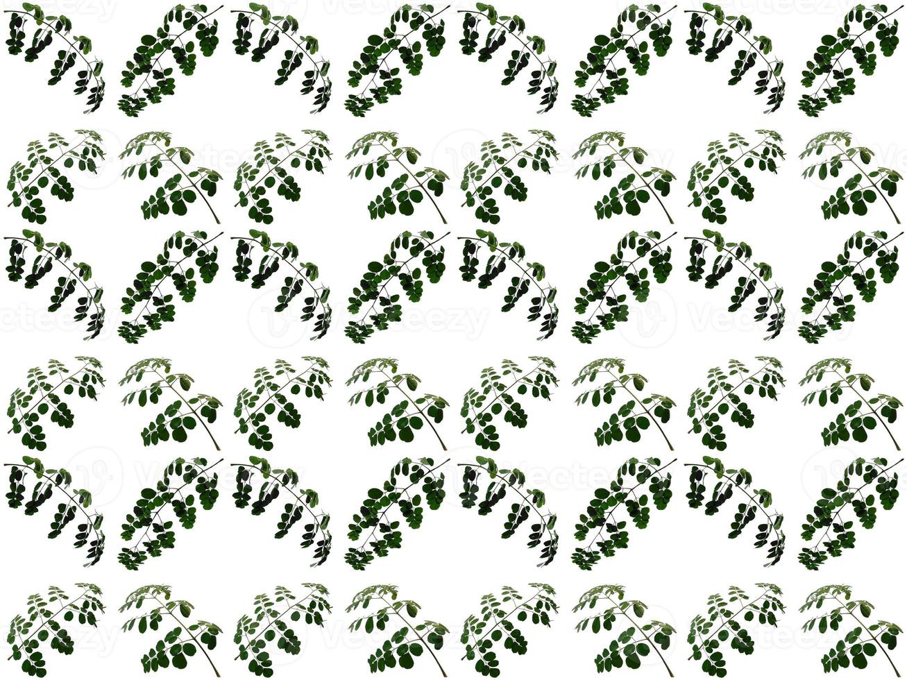 Pattern Leaves background photo