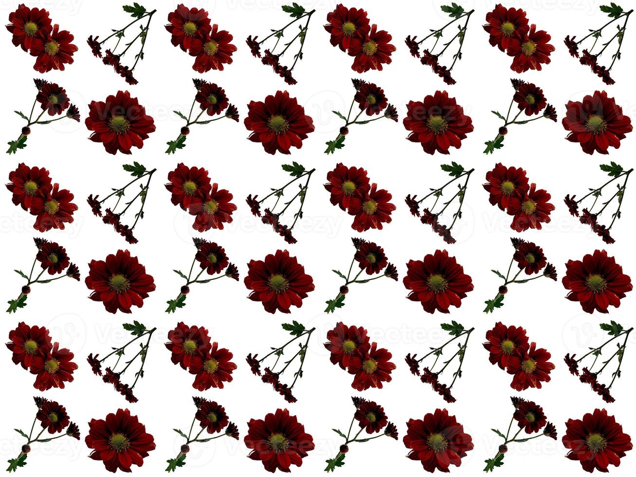 Flowers Pattern on a white background photo