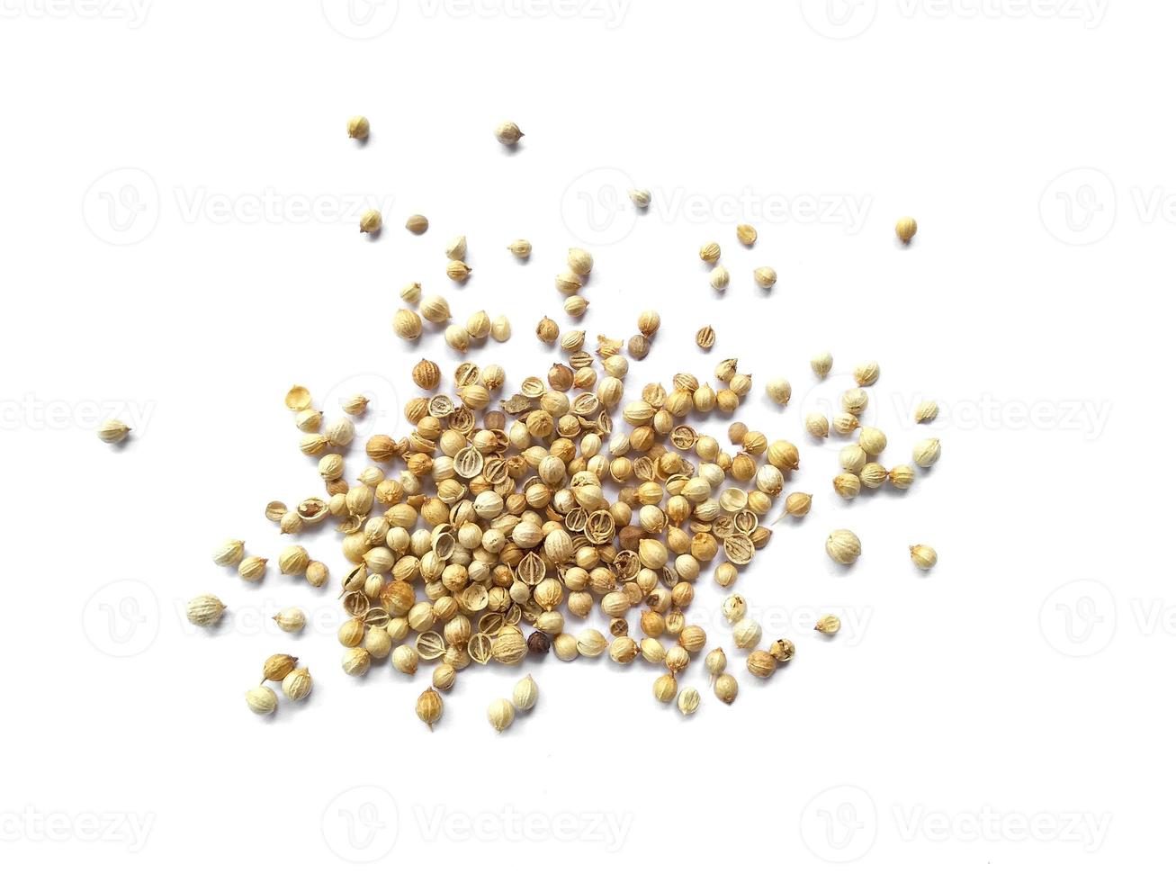 Coriander seeds on white background photo