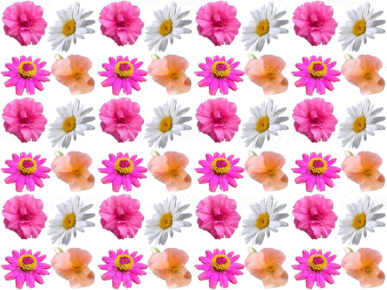 Pattern Floral background photo