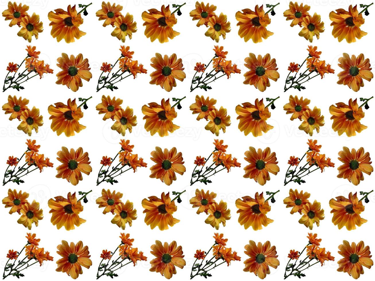 Flowers Pattern on a white background photo