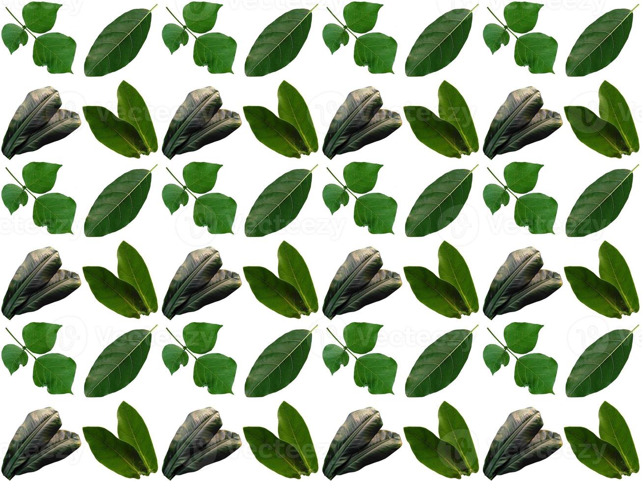 Pattern Leaf background photo