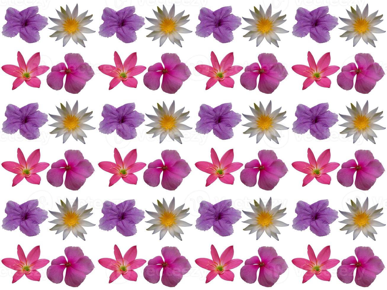 Pattern Flowers background photo