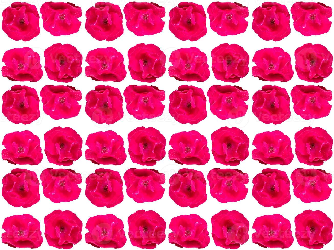 Flowers Pattern background photo