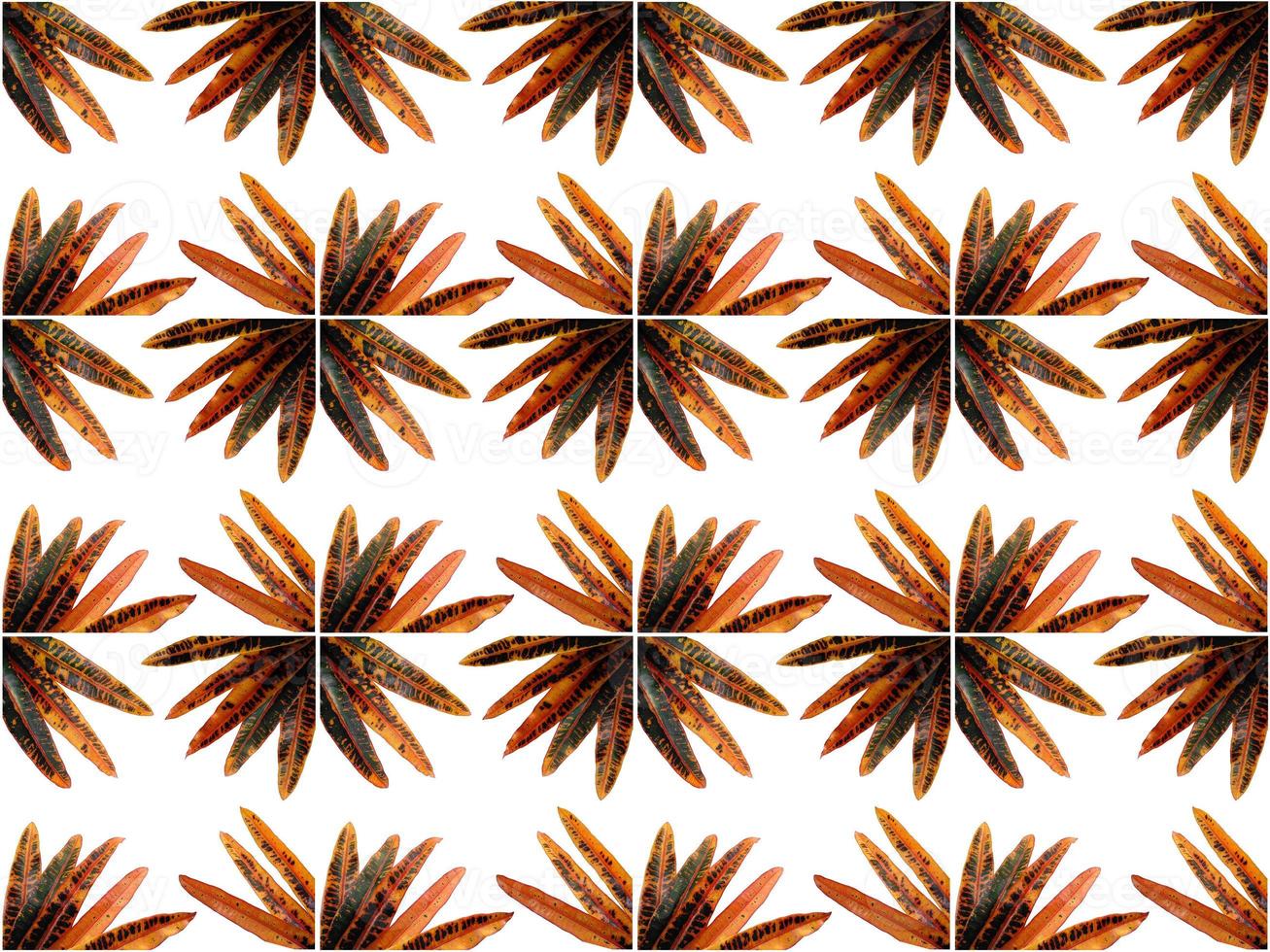 Leaf pattern background photo