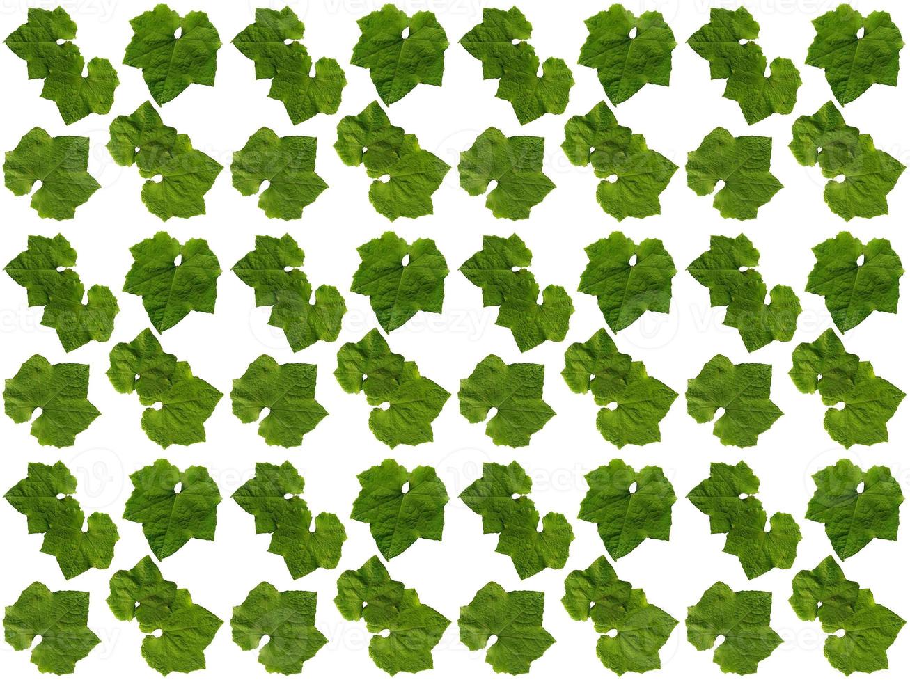 Pattern Leaf background photo