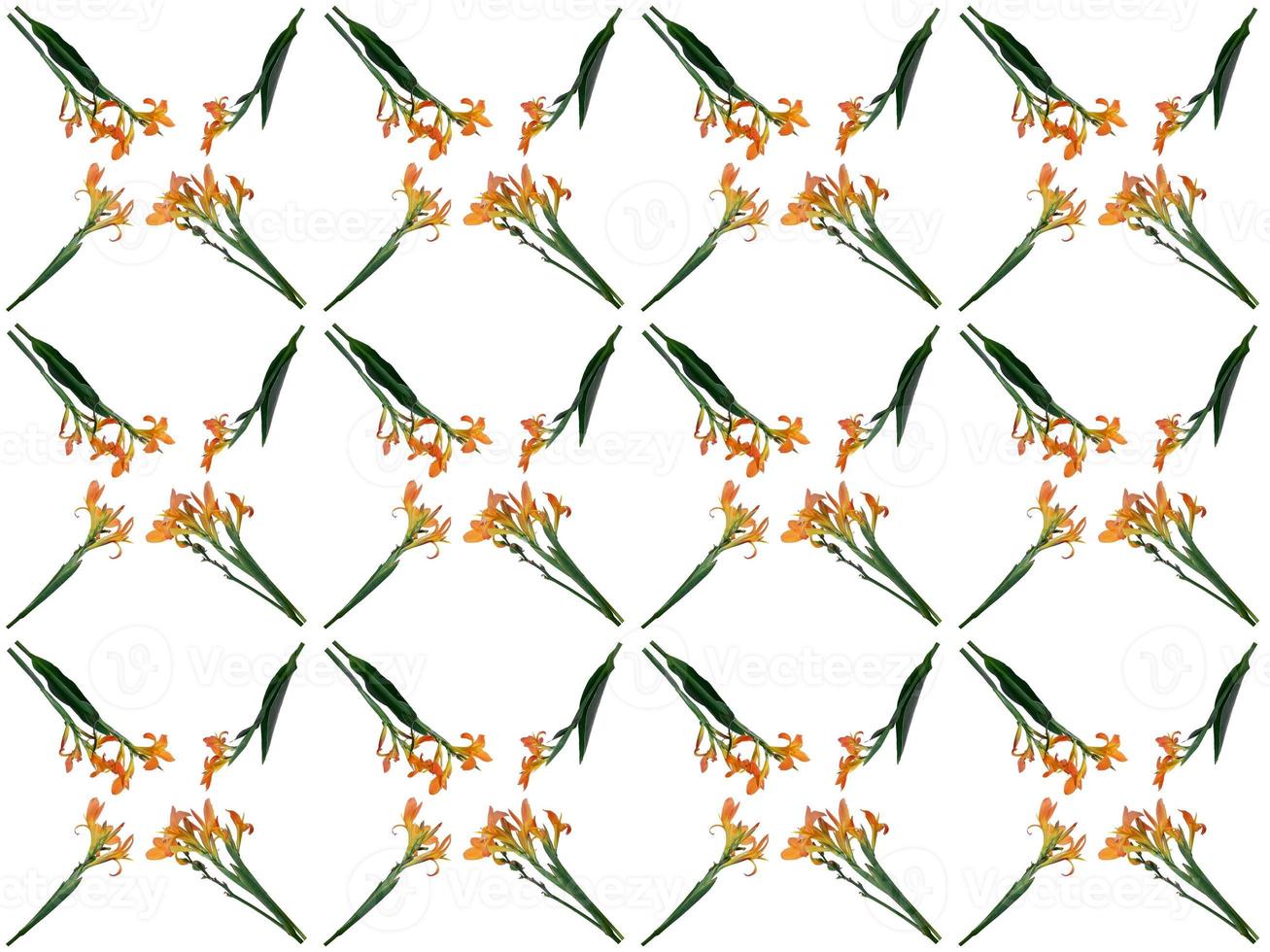 pattern Flowers on a white background photo