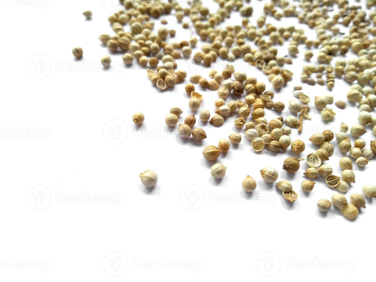 Coriander seeds on white background photo
