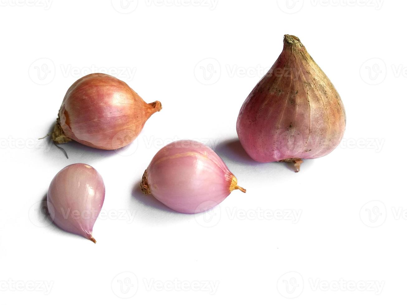 Onion. Fresh red onion on white background photo