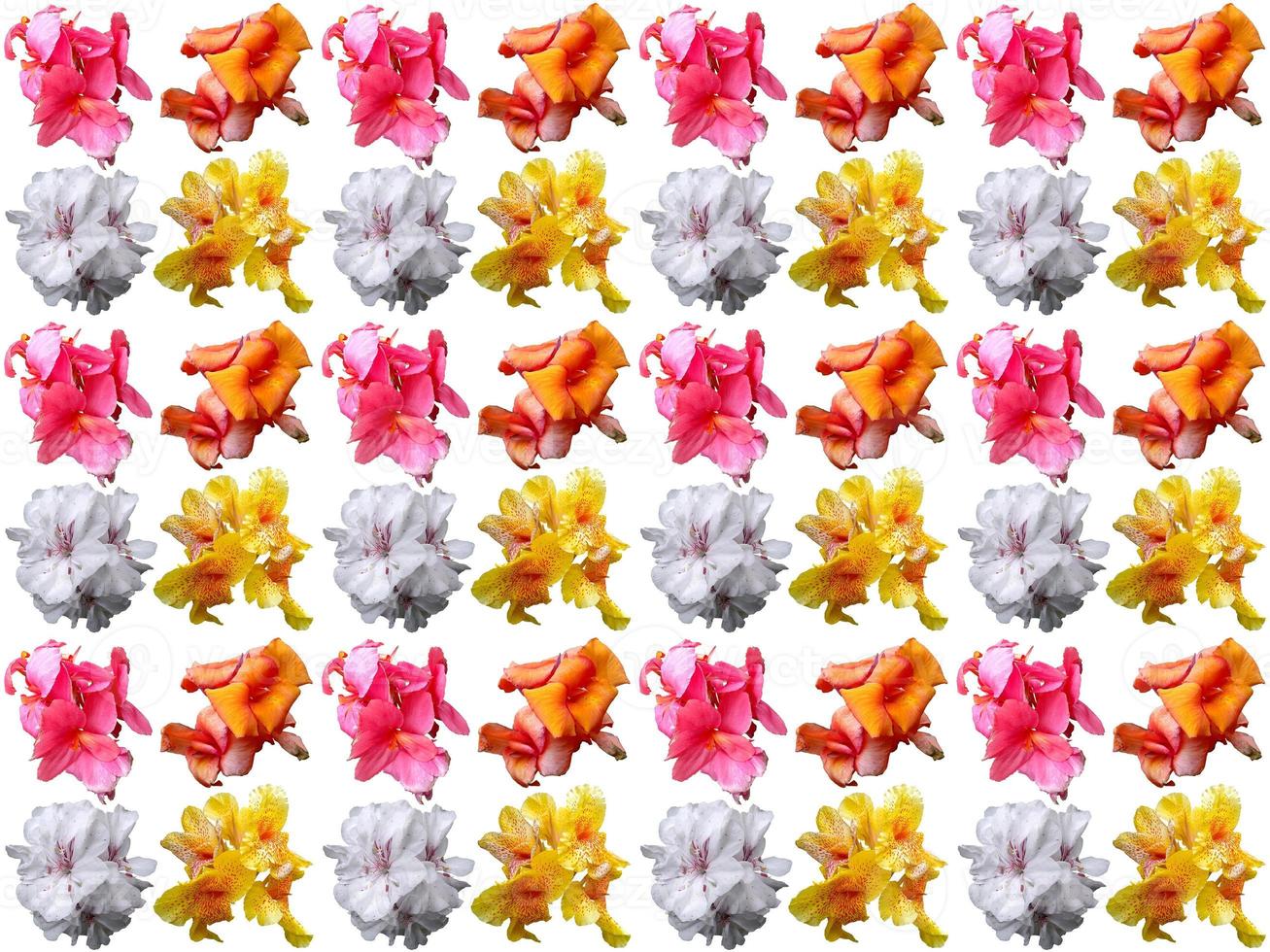 Flowers Pattern background photo
