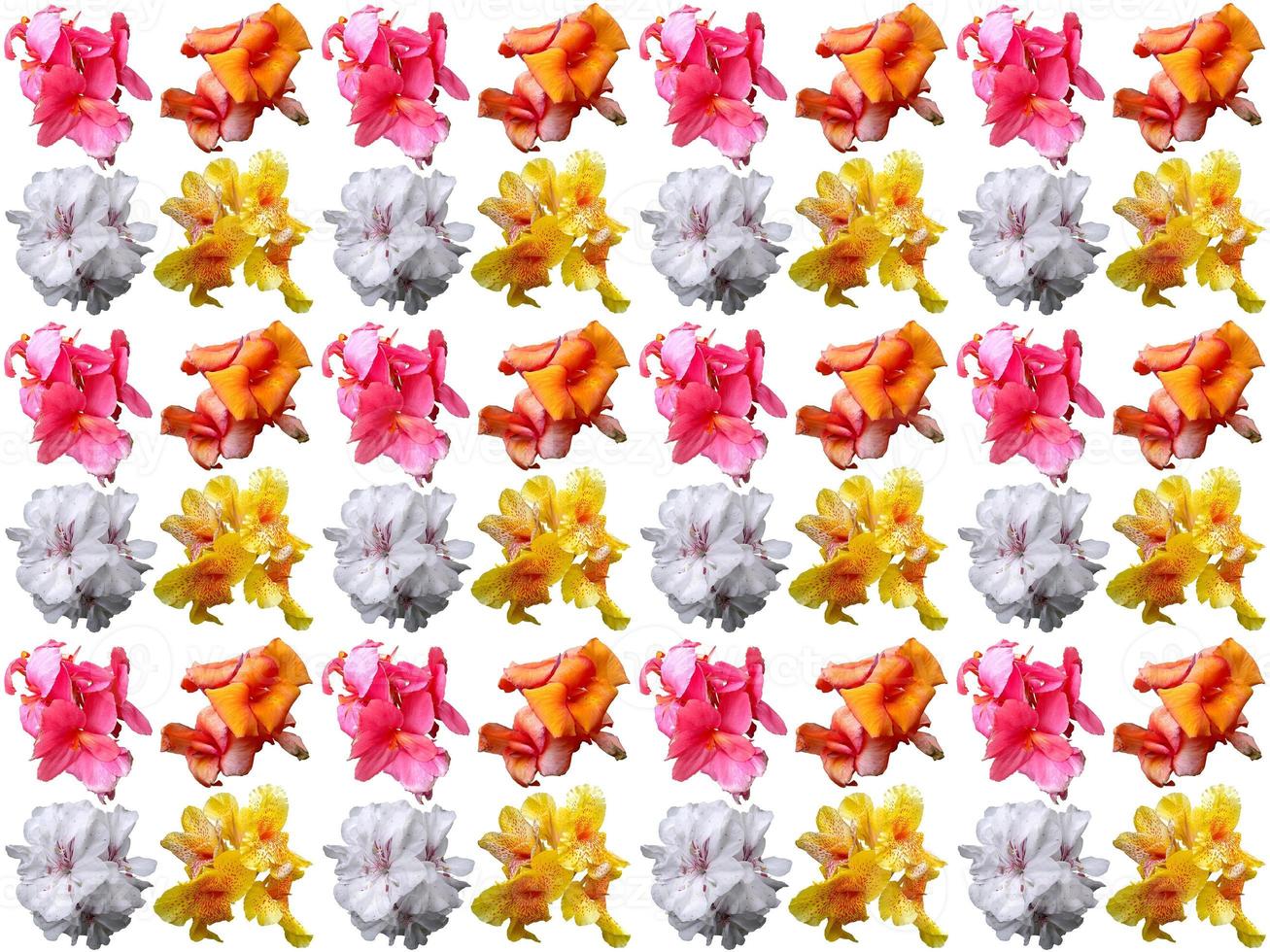 Flowers Pattern background photo