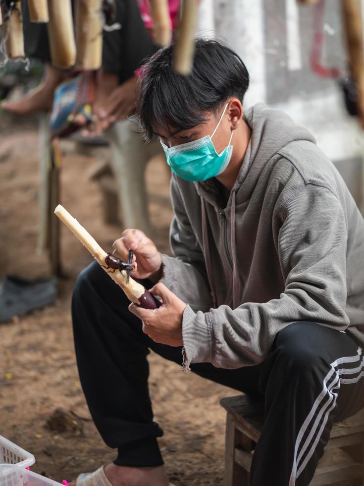 Chiang Mai, Thailand, 2021 - Thai male teenager testing the ferocity of the Siamese rhinoceros beetle or fighting beetle before purchasing. photo
