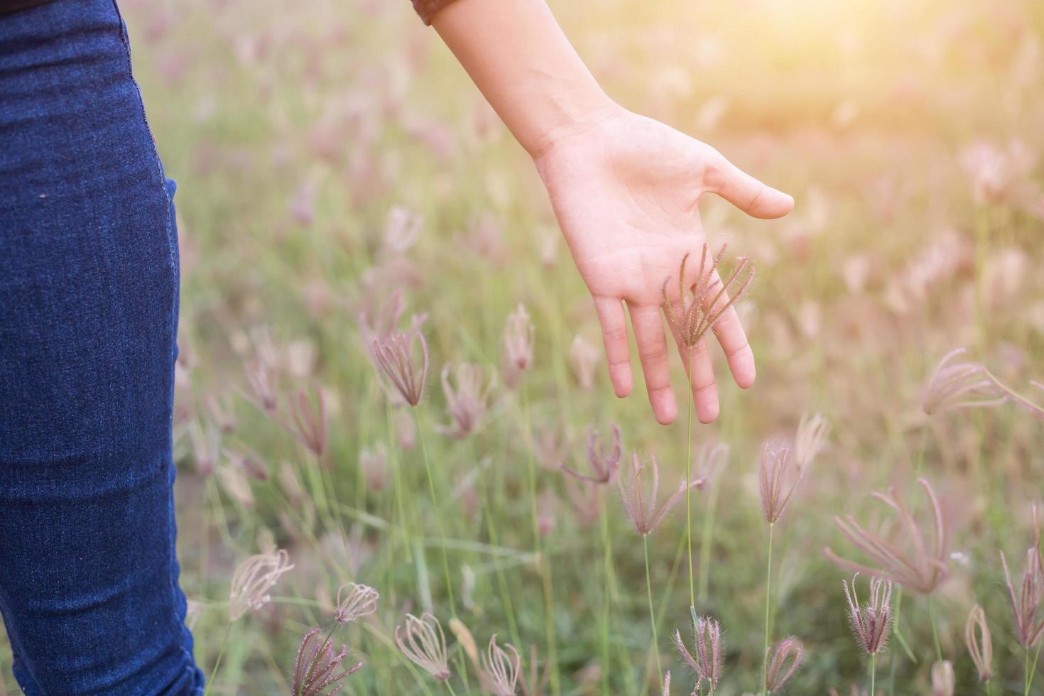 Touch the nature photo