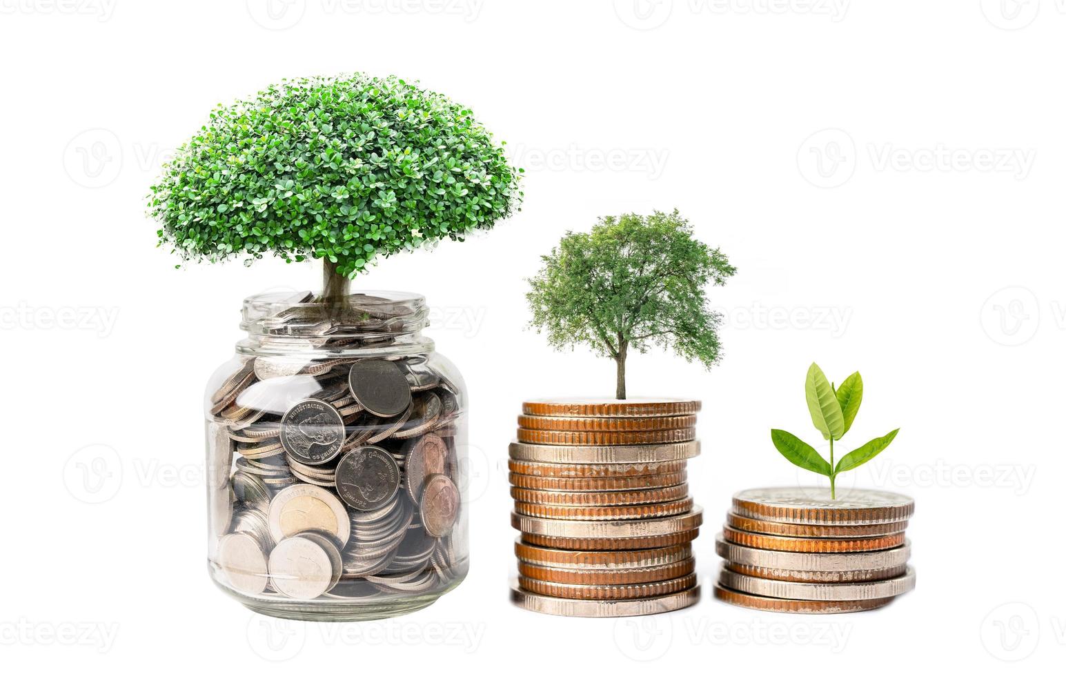Tree on save money coins in grass jar, Growth business finance saving investment concept. photo