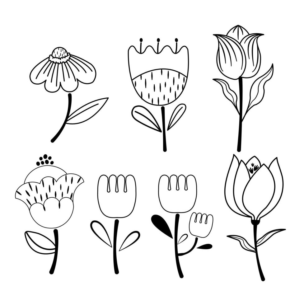 Leaf and floral line art vector