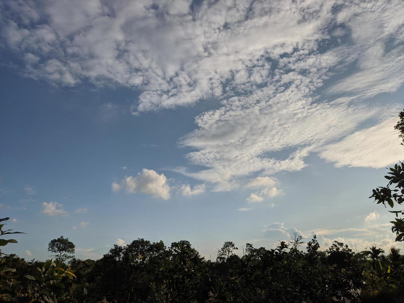 landscape photo of sky and forest