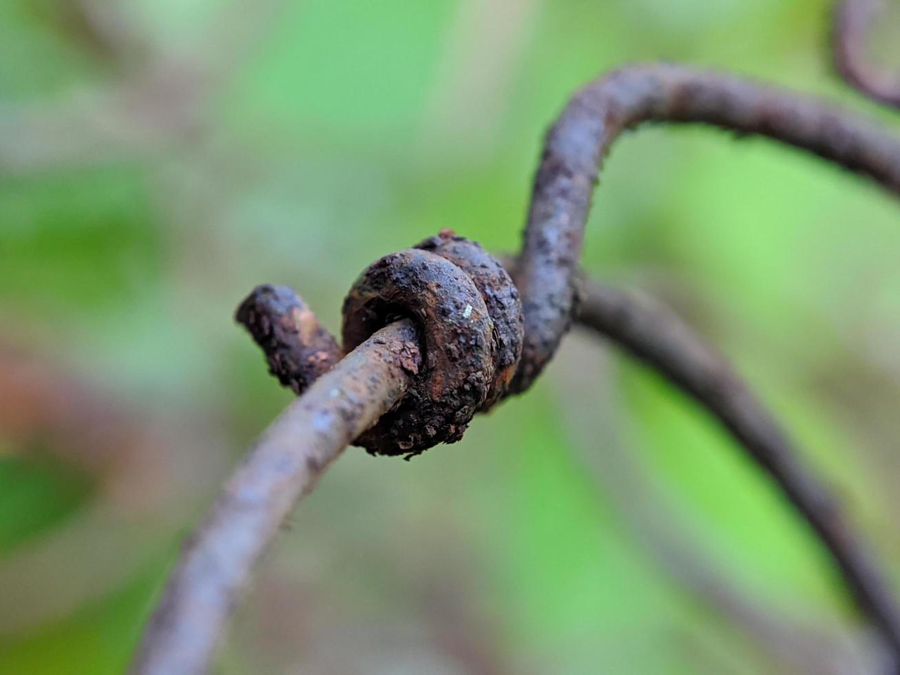 macro de foto de alambre oxidado