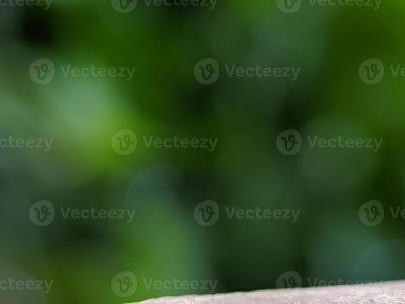 macro photo background green beautiful fresh bokeh