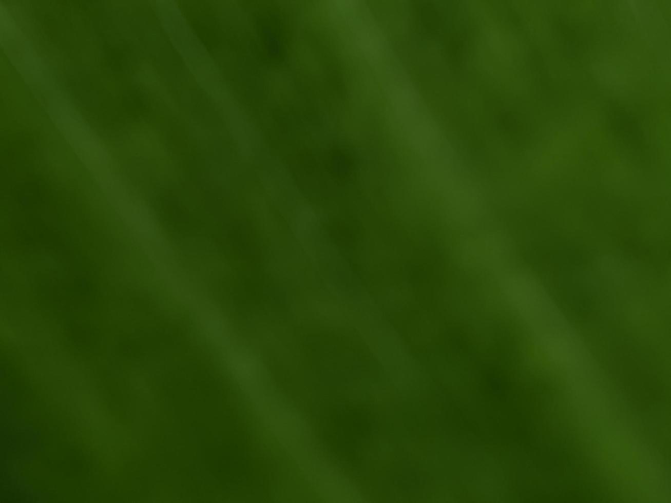 photo or image blur, bokeh, fresh background, cool