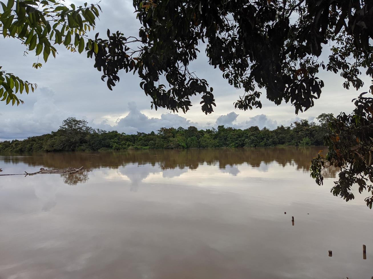 Beautiful scenery on the edge of the Kalimantan river, Indonesia photo