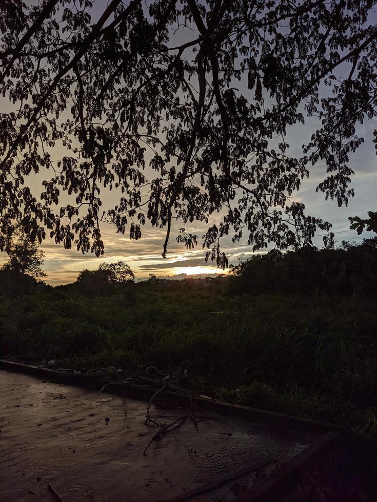 view of the swamp and sunset after the rain photo
