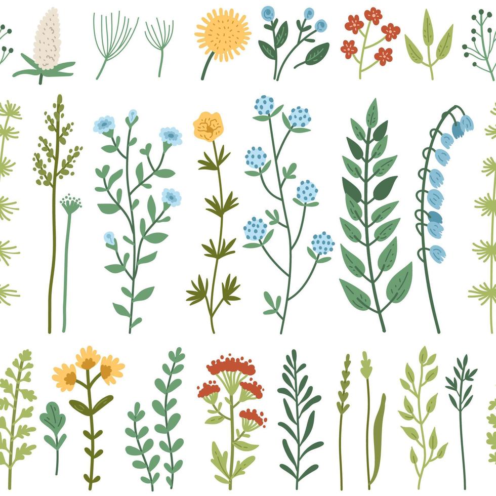 patrón transparente de vector con flores silvestres y hierba
