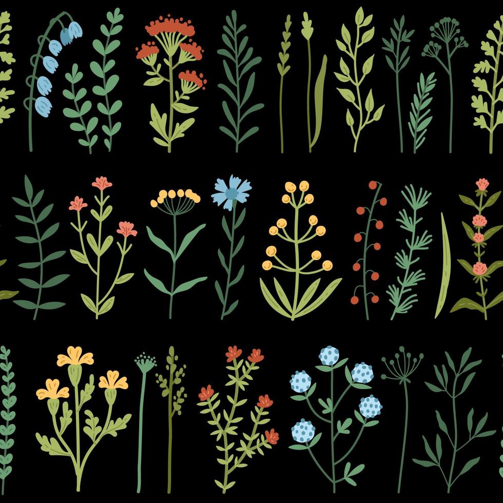 Vector seamless pattern with wild flowers and grass