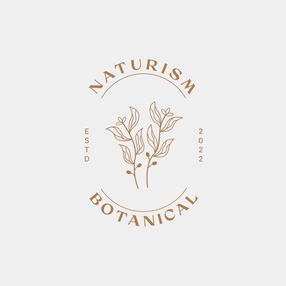 plantilla de diseño de logotipo botánico, aceite de oliva, logotipo floral, logotipo femenino, vector premium de logotipo de belleza