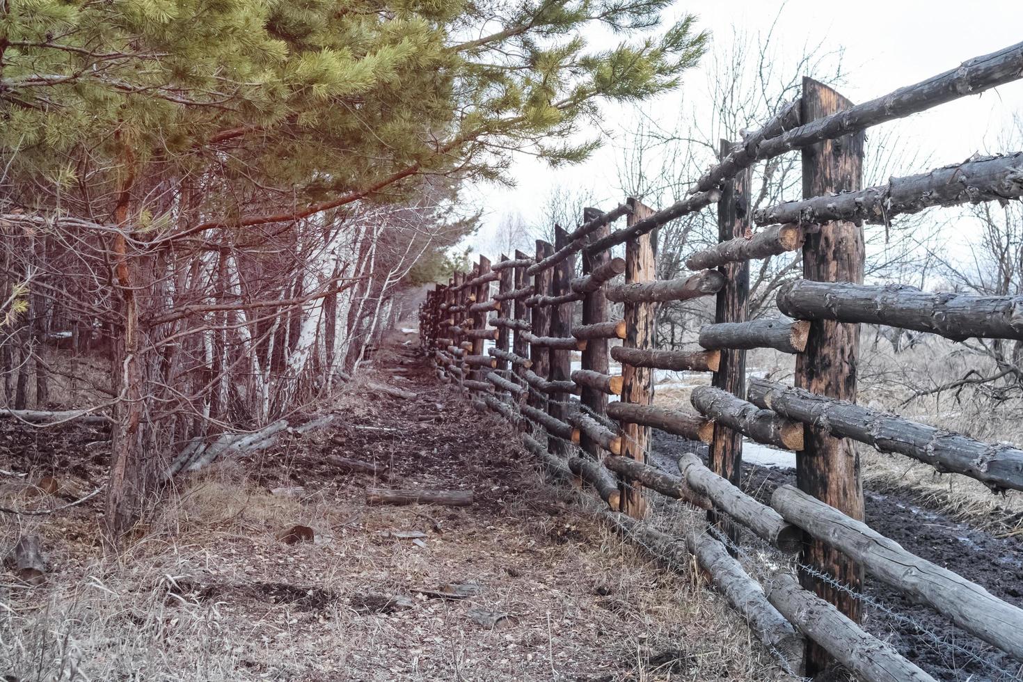 esgrima para animales salvajes en el bosque. foto