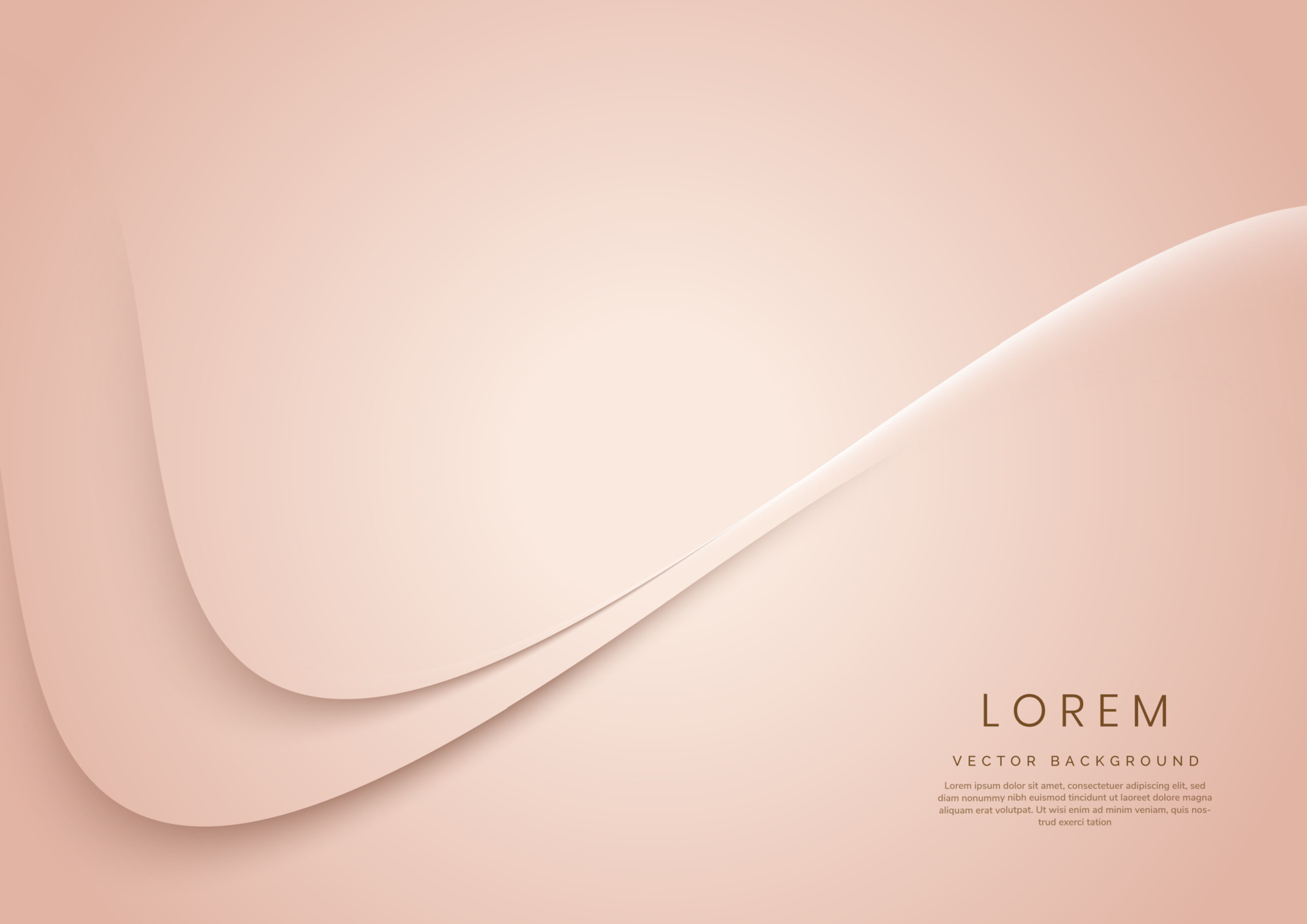 Abstract 3d rose gold curved background with copy space for text