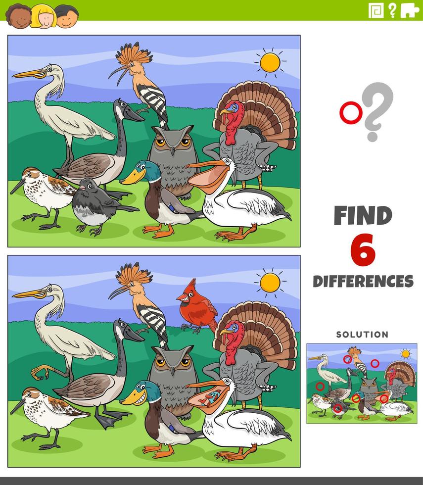 differences educational game with cartoon birds animal characters vector