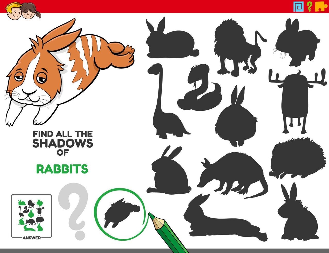 educational shadows game with cartoon rabbits vector
