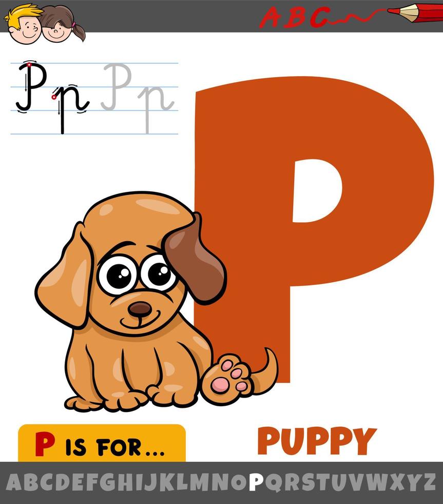 letter P from alphabet with cartoon puppy animal character vector