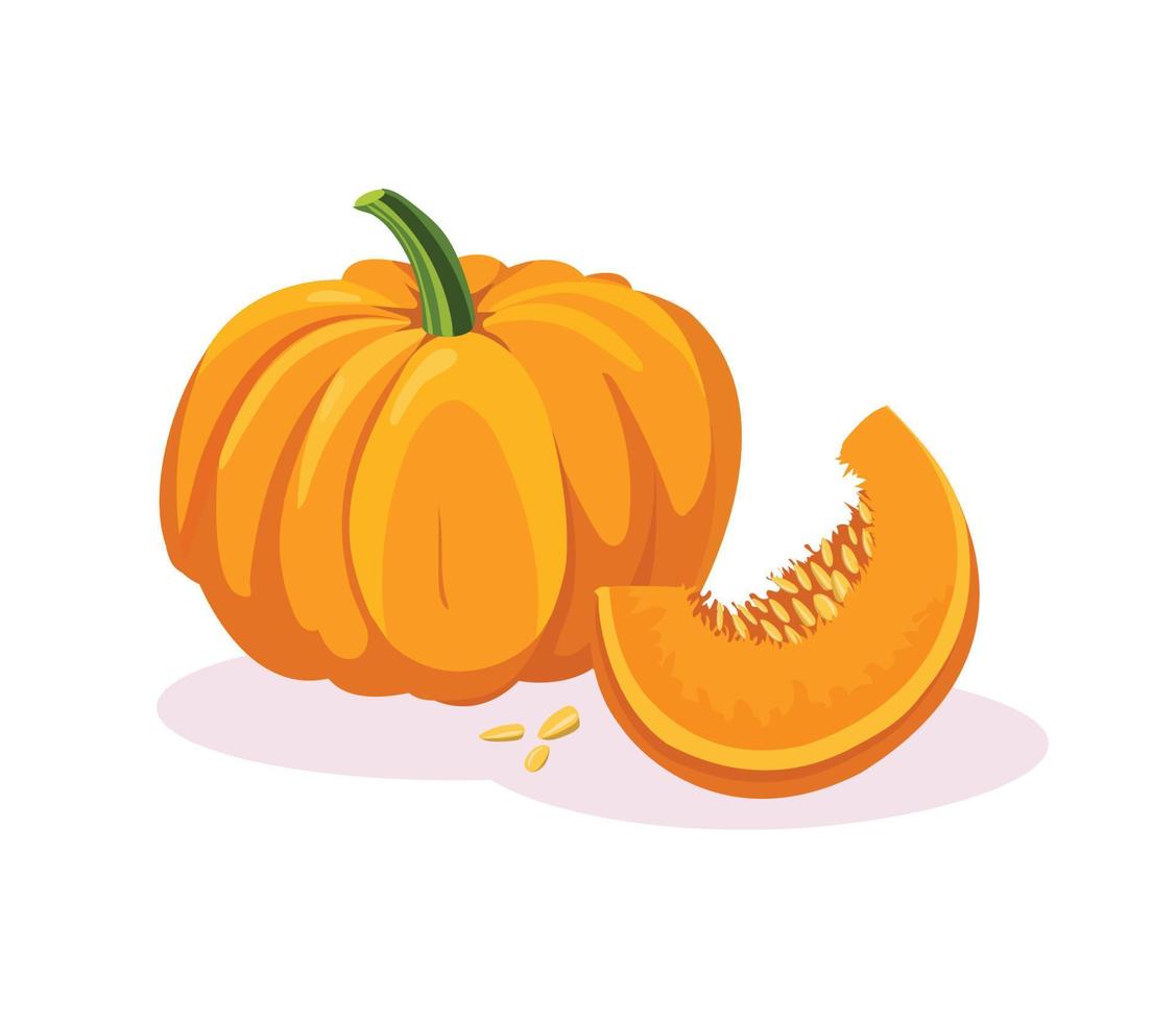 Pumpkin, a piece of pumpkin with seeds. Vector