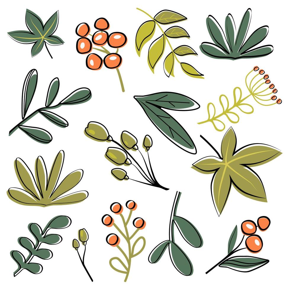 Set of floral elements vector