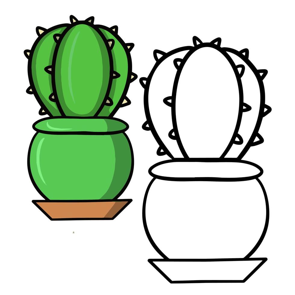 A set of color and a sketch of pictures. Large round green prickly cactus in a green ceramic pot, vector illustration on a white background