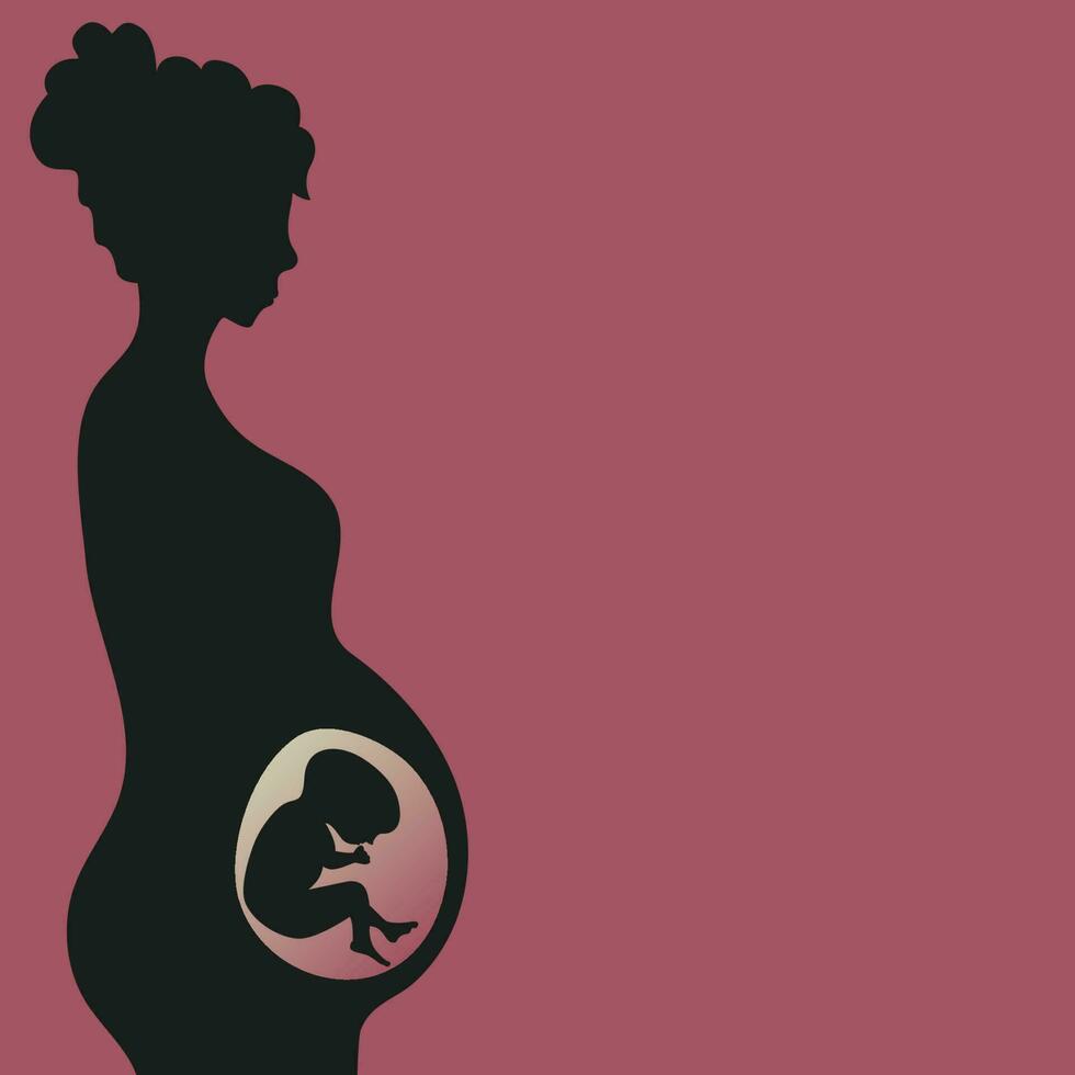 mujer embarazada con feto en desarrollo vector