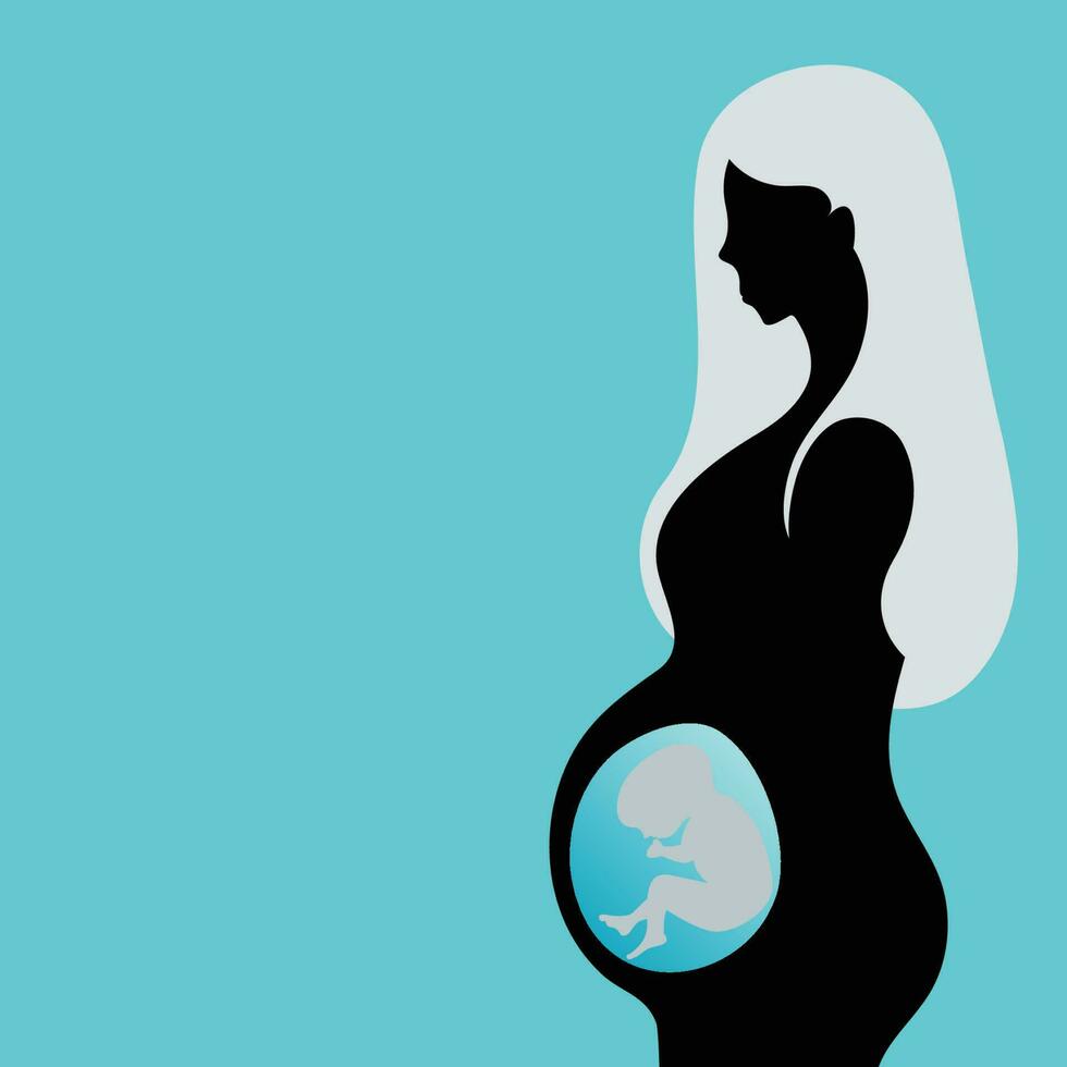 Pregnant woman with developing fetus vector