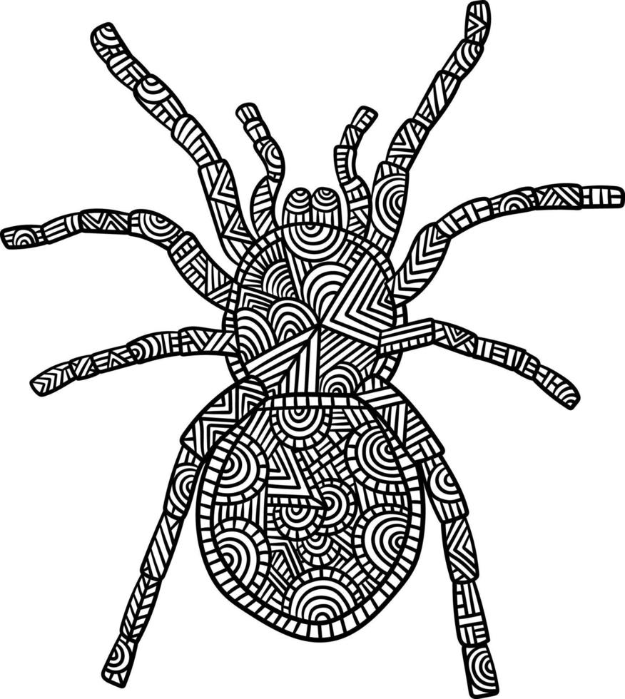 Tarantula Mandala Coloring Pages for Adults vector