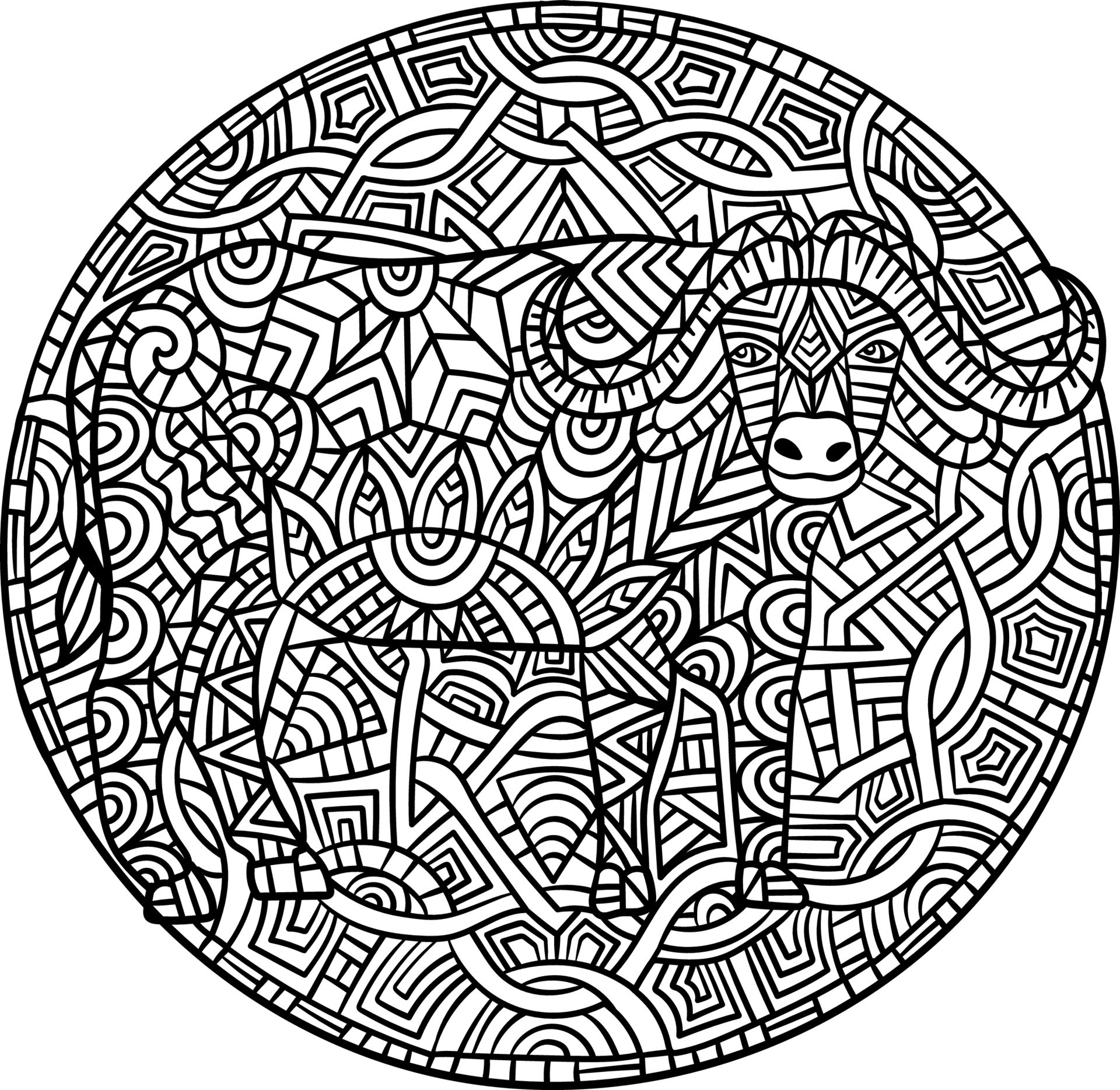 cape coloring page