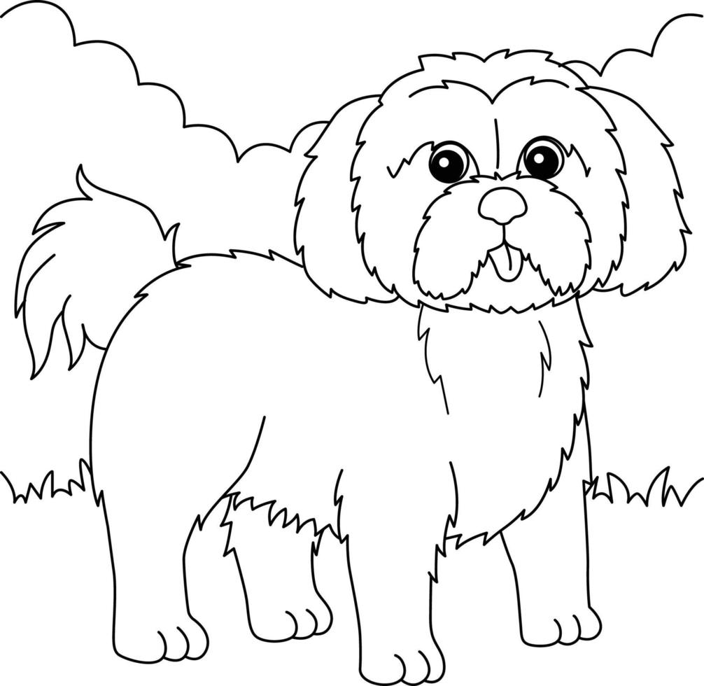 Shih Tzu Dog Coloring Page for Kids vector