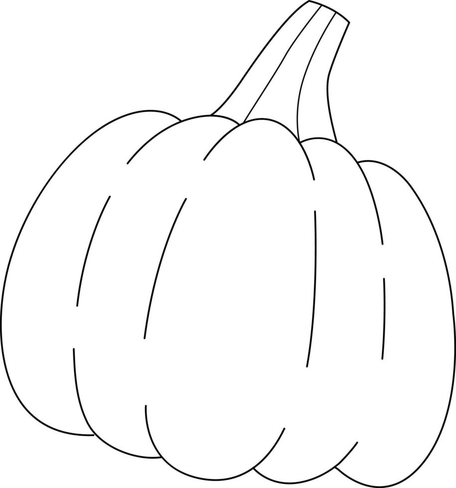 Thanksgiving Pumpkin Isolated Coloring Page vector