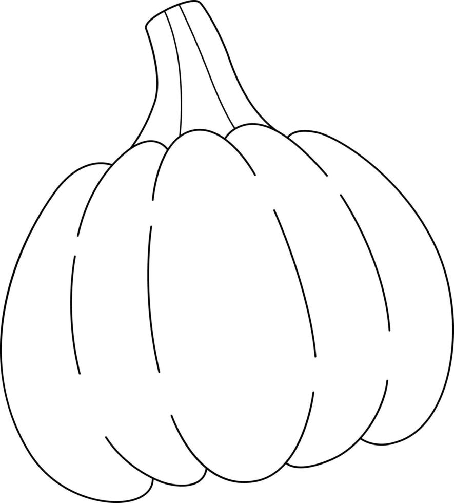 Thanksgiving Pumpkin Isolated Coloring Page vector