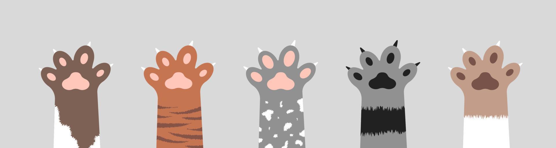 colección de patas de gato esponjoso. conjunto de varias siluetas de pie de gatito lindo aisladas sobre fondo blanco. concepto de animales y mascotas. ilustración vectorial en estilo de dibujos animados. vector